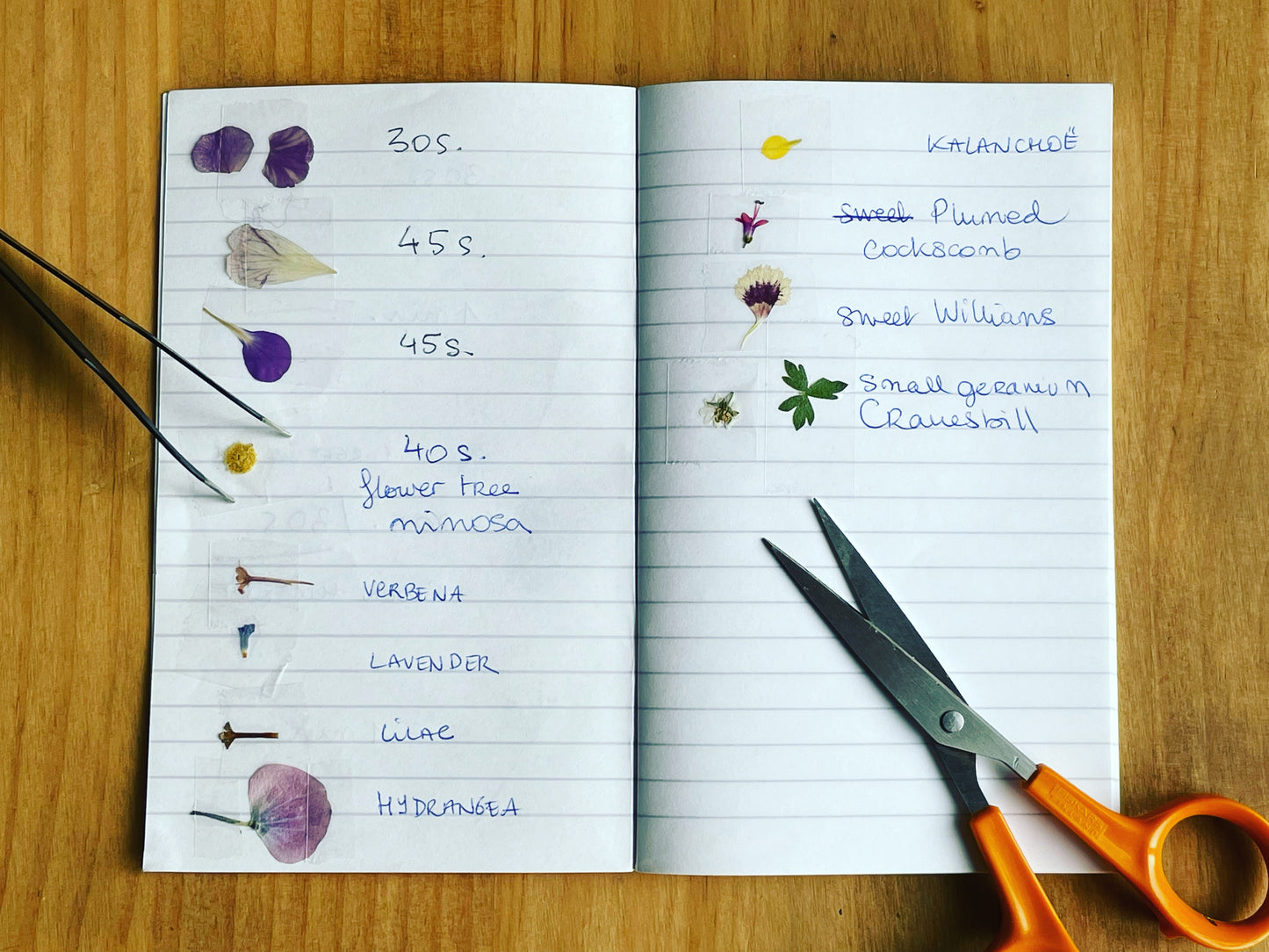 Heart dangle earrings with gypsophila flowers in gold or silver