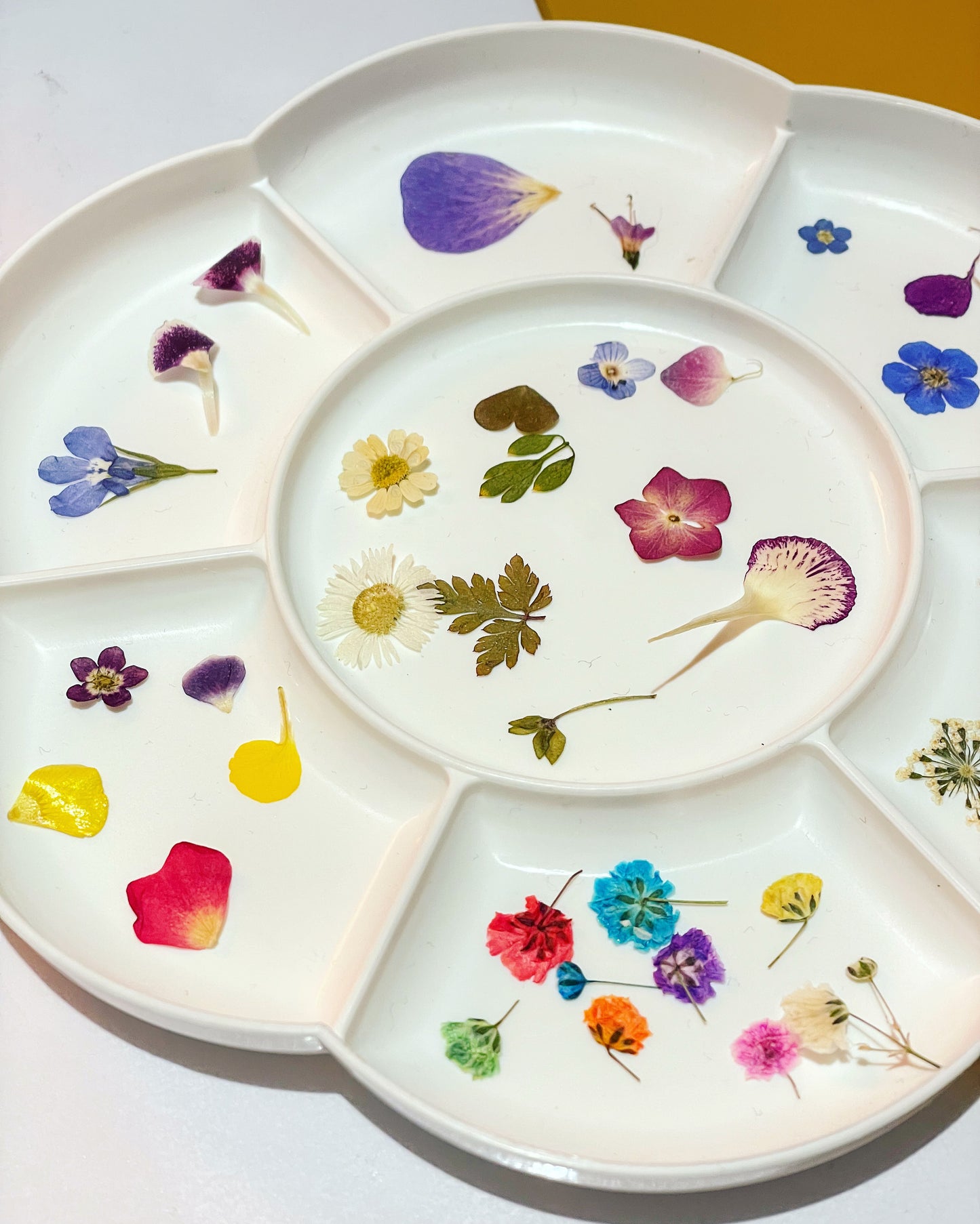 Large dangle earrings with real flowers and gold leaf