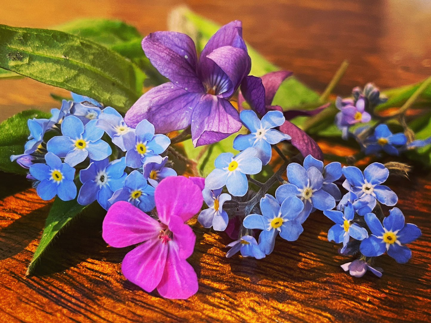 Große Statement-Ohrringe mit blauen und pinkfarbenen Blumen