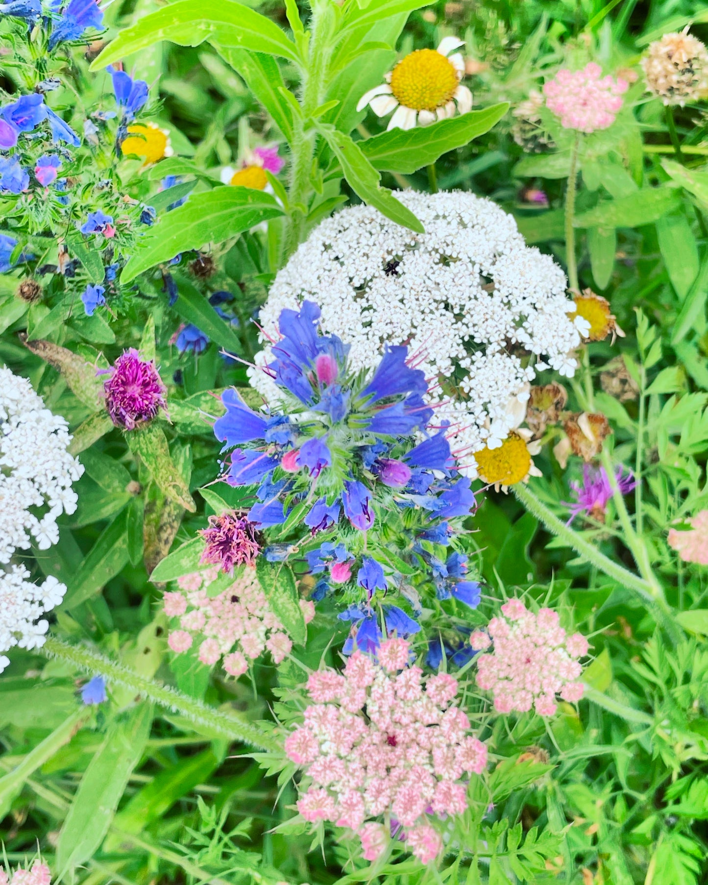 Statement necklace with forget-me-not and orange flowers