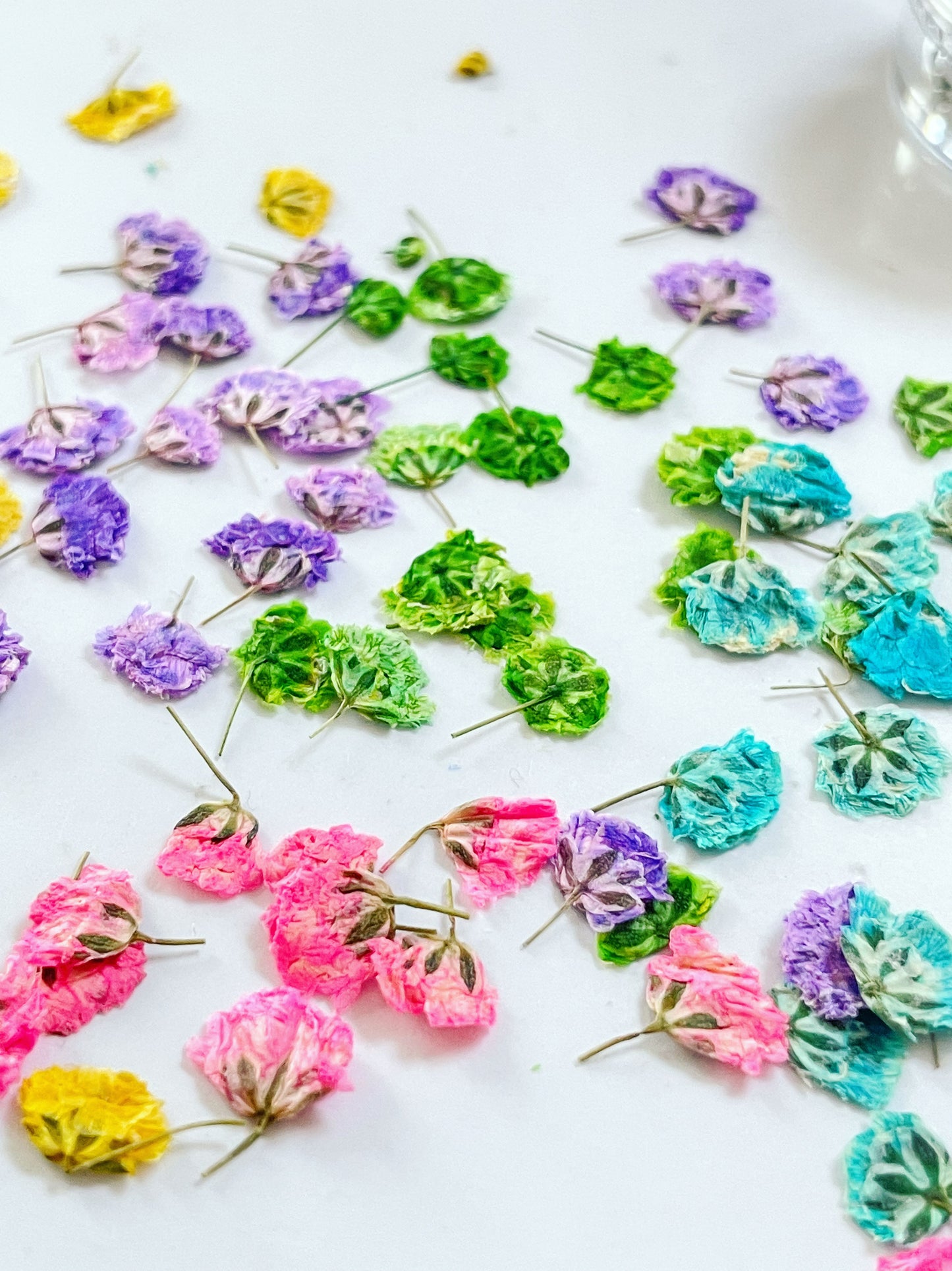 Heart earrings with colourful gypsophila flowers