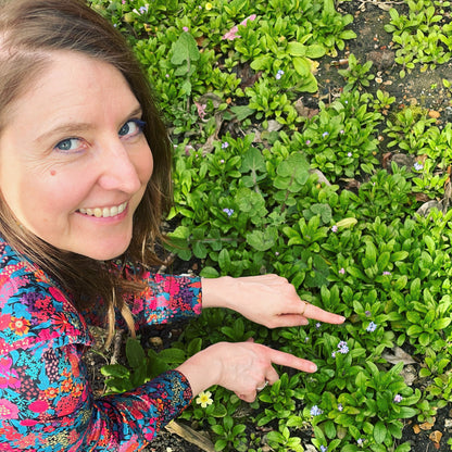 Heart ring with forget-me-not in gold or silver in 10mm
